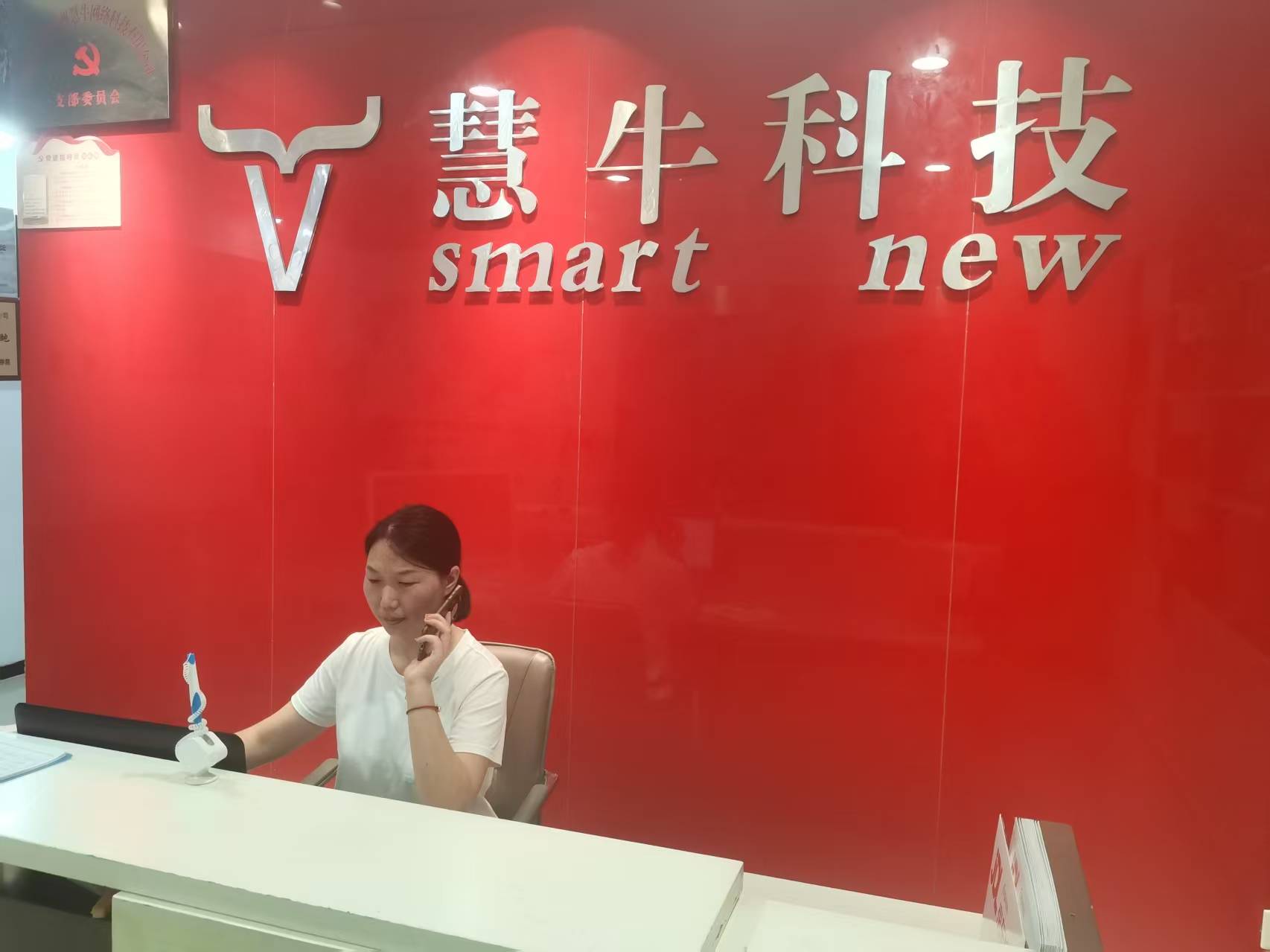 公司动态